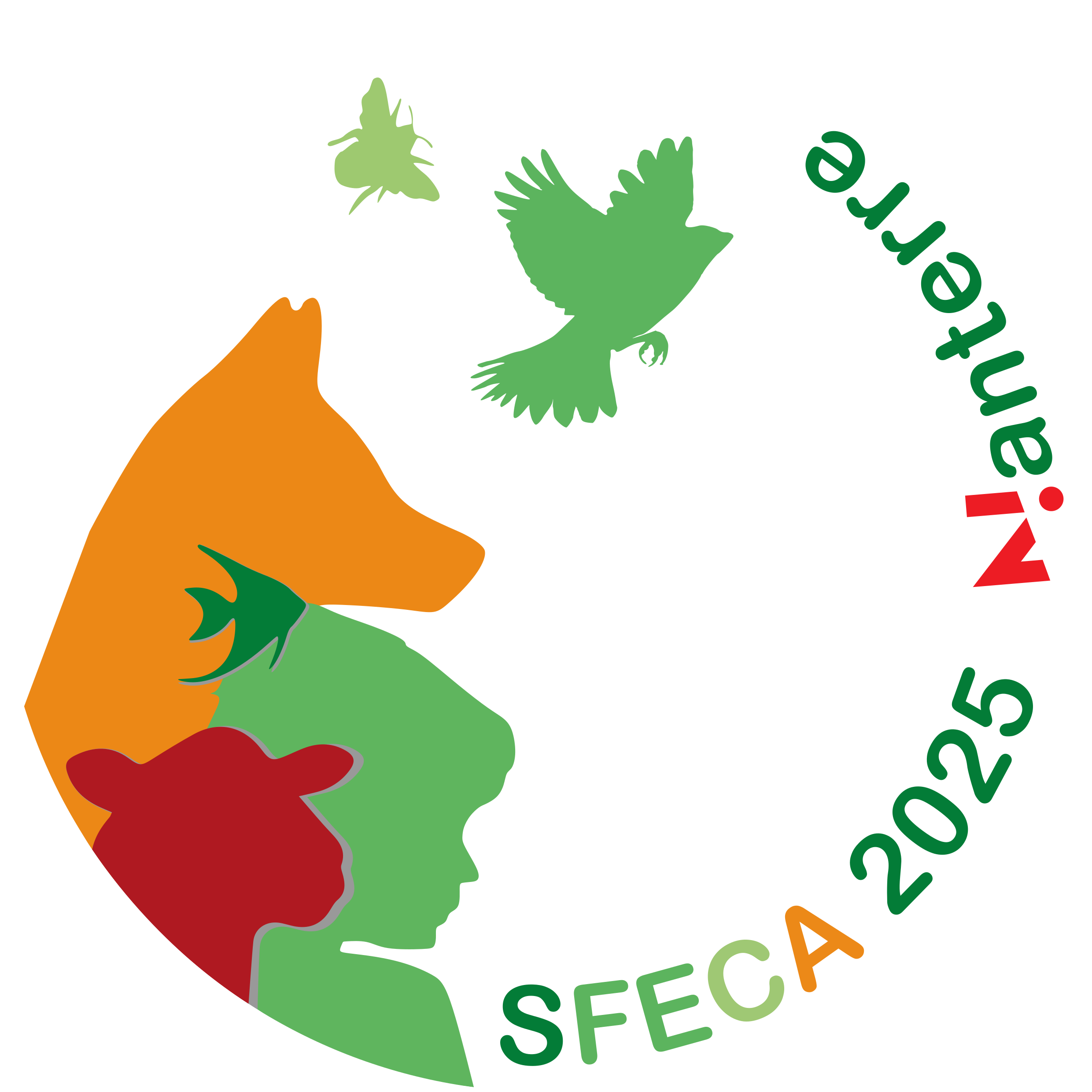 LECD-SFECA